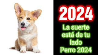 HOROSCOPO CHINO 2024  Predicciones para el signo del Perro para el año 2024  Intuición Comprobada [upl. by Norab891]