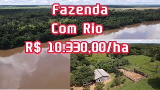 Fazenda a venda no Tocantins em Pedro AfonsoTO com Rio de grande portelavoura [upl. by Frohman]