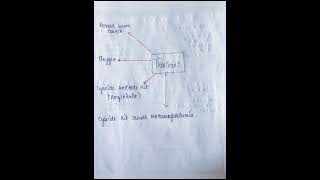 chemistry  Hematinics Cathartics and Cyanide poisoning [upl. by Zurc]