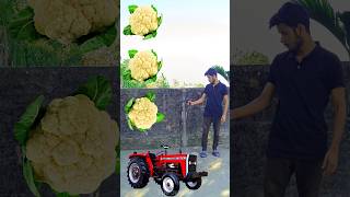 Rounding cauliflower to Alto Rollar Jcb amp Tractor  Vehicles names magic video [upl. by Fihsak]