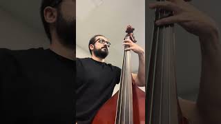 Learning the double bass recently ❤️ musica music bass doublebass doublebassplayer cervatillo [upl. by Lemmie359]