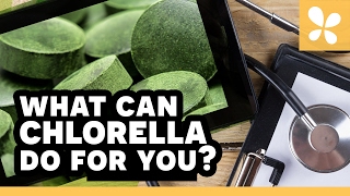 What Can Chlorella Do For You  Ask the ND with Dr Jeremy Wolf [upl. by Htial]