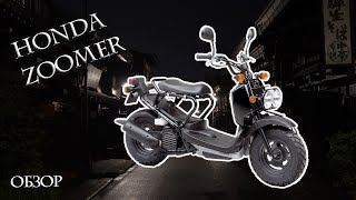 Honda Zoomer обзор [upl. by Gasser]