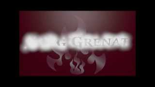 FC METZ Sang Grenat [upl. by Gruver686]