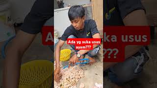 Usus ayam ayam boilerchiken abobeonk [upl. by Heimer488]