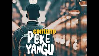 Centano  Peke Yangu  Official Audio [upl. by Elleinaj879]