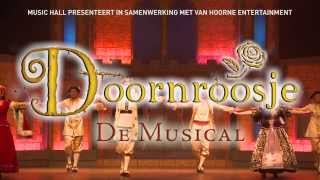 Doornroosje de sprookjesmusical [upl. by Anilef]