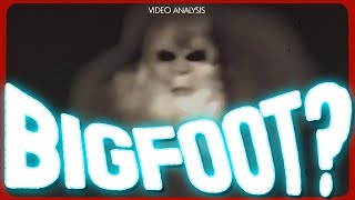 Pennsylvania White Bigfoot Video DECODED [upl. by Liatris]