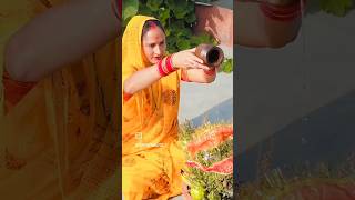 Laher Laher lahray re mere agan ki tulsi 🪴tulsi song [upl. by Beryle563]