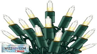 TW SHINE Christmas Lights 20FT 100 Count Incandescent Mini Christmas Tree Lights Review [upl. by Dammahum658]