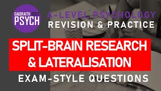 SplitBrain Research amp Lateralisation  Exam Questions amp Revision  ALevel  AQA Psychology [upl. by Naivatco873]