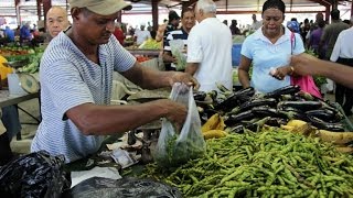 Market Day At Marabella Market Trinidad [upl. by Shelba]