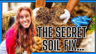 2 New Garden Soil Amendments That Science Is Investigating [upl. by Ilocin]