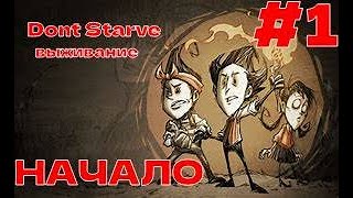 Dont Starve►ВЫЖИВАНИЕ ► НАЧАЛО► 1 [upl. by Aizan]