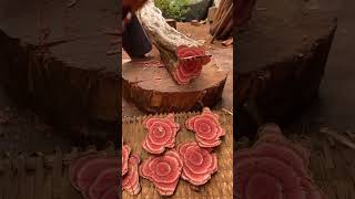 OMG this tree is so awesome 😲 fruitcutting video viralvideo shortvideo shorts [upl. by Yraht720]