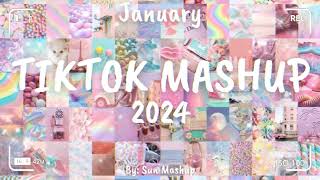 Tiktok Mashup JANUARY 🎉 2024 🎉 Not Clean [upl. by Ecallaw241]