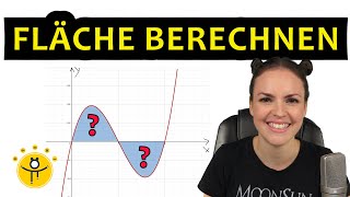 FLÄCHE berechnen INTEGRAL – Integralrechnung Flächenberechnung [upl. by Eilahs]