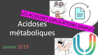 Urgences  Reconco ECN  Acidoses métaboliques Janvier 2019 🍋 [upl. by Hanni]