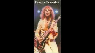 Peter Frampton  Lines On My Face [upl. by Sorgalim]