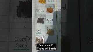 Science  2  TYPES OF SEEDS DICOTS AND MONOCOTS PROJECT [upl. by Consolata]