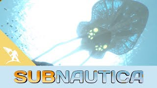 The Terror of Subnautica’s Kharaa Bacteria [upl. by Stanfill28]