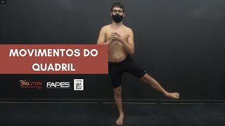 Movimentos do Quadril e Cíngulo do Membro Inferior [upl. by Liam279]