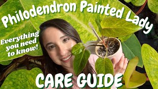 How to care for a Philodendron Painted Lady [upl. by Nybbor]