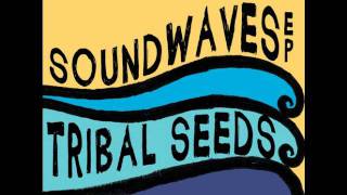 Tribal Seeds  In Your Eyes [upl. by Iramohs]