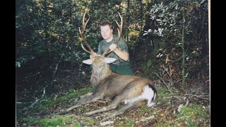 Trophy Hunt for Sika stag 2000 [upl. by Jaycee87]