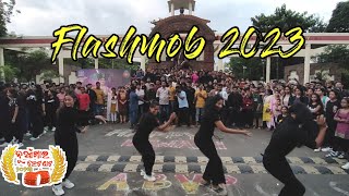 Nuakhai Bhetghat Flashmob 2023  Utkal University Bhubaneswar  Nuakhai 2023 [upl. by Bashemath805]