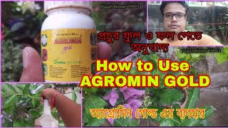 How to use agromin gold micronutrient  অনুখাদ্য অ্যাগ্রোমিন গোল্ডের ব্যবহার [upl. by Dj]