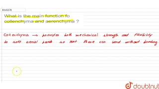 What is the main function fo collenchyma and aerenchyma   9  TISSUES  BIOLOGY  PRADEEP  Do [upl. by Hatti]