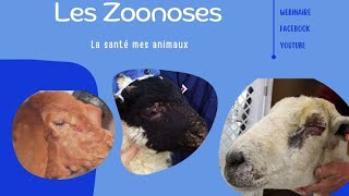 Webinaire 💻 Module Les Zoonoses 🗂️ La Cryptosporidiose 🖍️ [upl. by Haimes294]