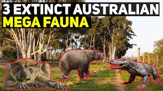 3 Extinct Australian Mega Fauna [upl. by Ingamar]