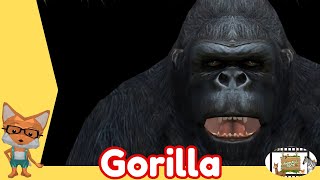 10 GORILLA FACTS Animal Videos For Kids Animals Rock TV [upl. by Hares46]