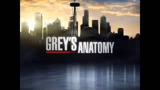 Greys Anatomy Theme Song [upl. by Eveline]