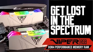 Viper RGB DDR4 Performance Memory [upl. by Giefer]