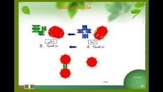 المناعة الفصائل الدموية [upl. by Pallas]