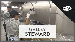 Disney Cruise Line Galley Steward [upl. by Tertius]