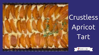 Low Carb Crustless Apricot Frangipane Tart [upl. by Aguie]