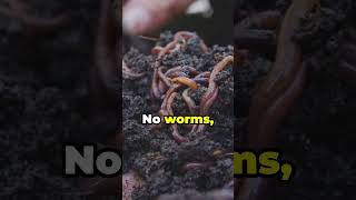 Amazing Worms Earth’s Underrated Garden Helpers [upl. by Schubert]