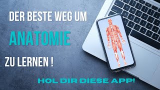 So wirst DU zum ANATOMIEPROFI  Anatomie lernen leicht gemacht [upl. by Semele]