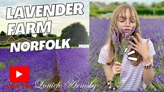 Lavender Farm Norfolk family day outEnglish country side nature lover [upl. by Hares]