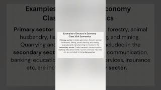 Examples of Sectors in Economy  Economics Class 10th  Jatin Sir [upl. by Nanine]