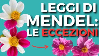 Le ECCEZIONI delle leggi di MENDEL in poco più di 2 minuti [upl. by Huberty]