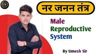 नर जनन तंत्र  Male Reproductive System  nar janan tantra  male reproductive system class 10 th [upl. by Avictor]