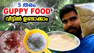 Guppy food making idea തീറ്റ വാങ്ങാൻ ഇനി പണം ചെലവാക്കണോ  My farming EP370 [upl. by Huxley]