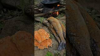 Trout Catch amp Cook and Chicken of the Woods with Doug [upl. by Zeba647]