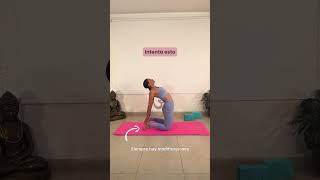 Hoy te presento diferentes formas de hacer la postura de yoga del camello yogaposes yoga [upl. by Atsyrhc145]