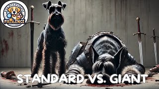 Standard Schnauzer vs Giant Schnauzer The Ultimate Battle of Agility and Strength [upl. by Ariella]